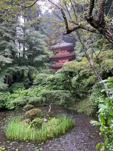 岩船寺(京都府)