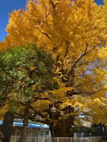 森巌寺(東京都)