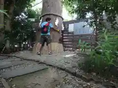 鎮守氷川神社(埼玉県)