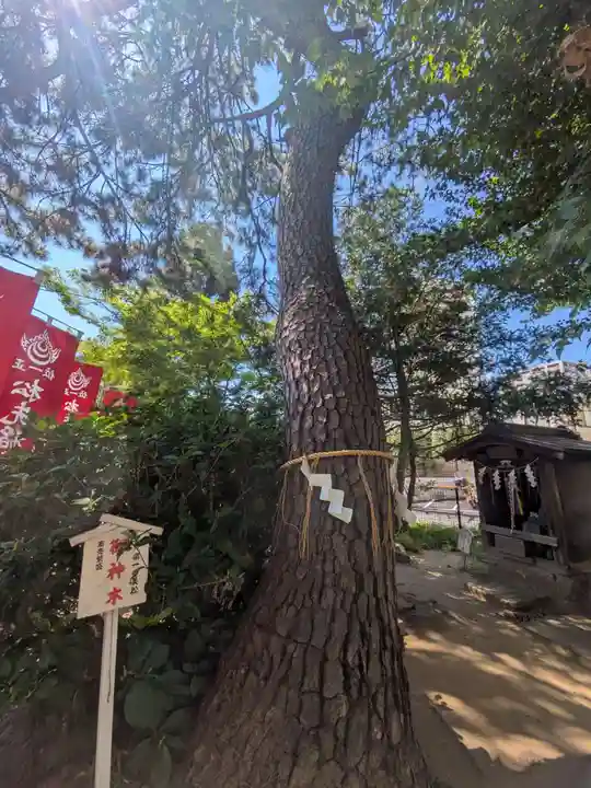松先稲荷神社(千葉県)
