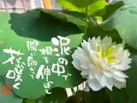 松本山 地福禅寺(滋賀県)