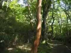 九頭龍神社本宮の自然