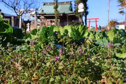 熊野福藏神社の景色