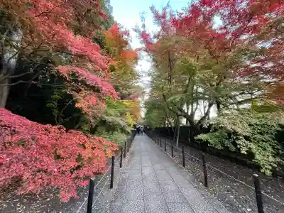 光明寺（粟生光明寺）(京都府)