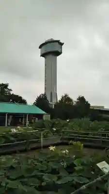 八幡神社の周辺