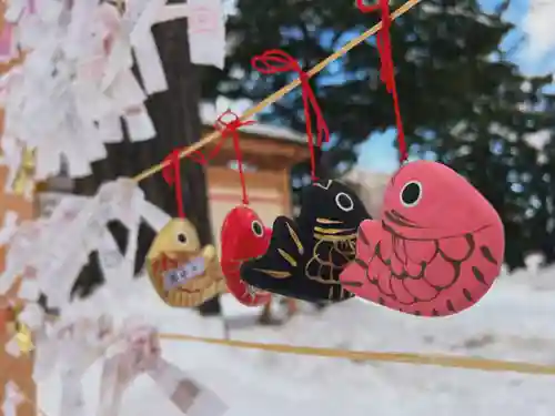 札幌諏訪神社のおみくじ