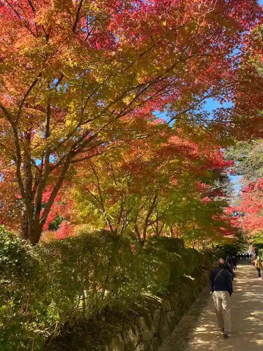 壇上伽藍(和歌山県)