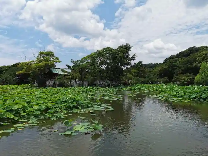鶴岡八幡宮の庭園
