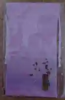 亀戸天神社(東京都)