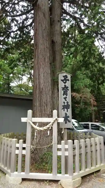 新倉富士浅間神社の自然