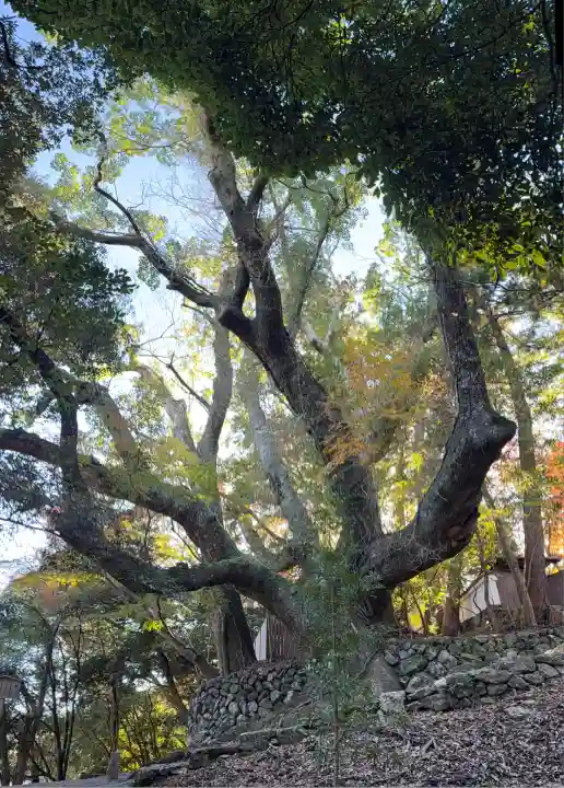 大水神社(皇大神宮摂社)・川相神社(皇大神宮末社)・熊淵神社(皇大神宮末社)(三重県)