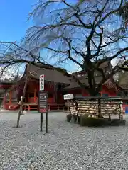 富士山本宮浅間大社(静岡県)