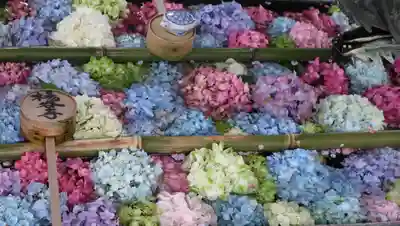 柳谷観音　楊谷寺(京都府)