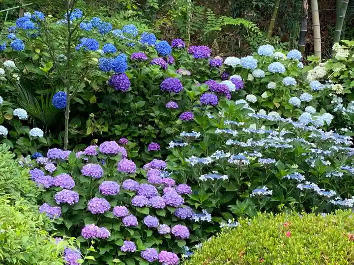 谷ヶ堂最福寺(延朗堂)の自然