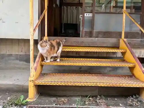 秩父札所十三番 慈眼寺(埼玉県)