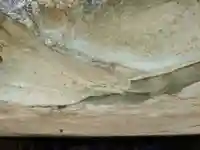 加茂河原石切不動尊(福井県)