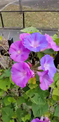 香取神社の自然