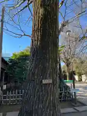 最勝寺教学院(東京都)