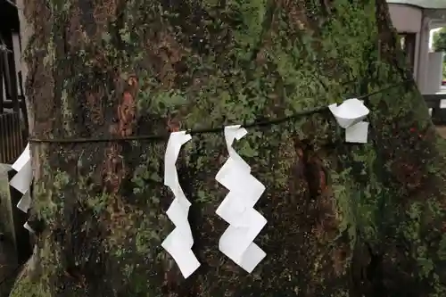 阿邪訶根神社の自然