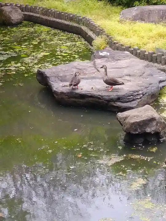 城山稲荷神社の庭園