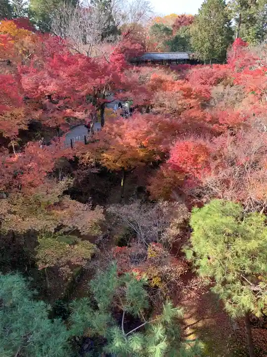 東福禅寺(東福寺)の景色