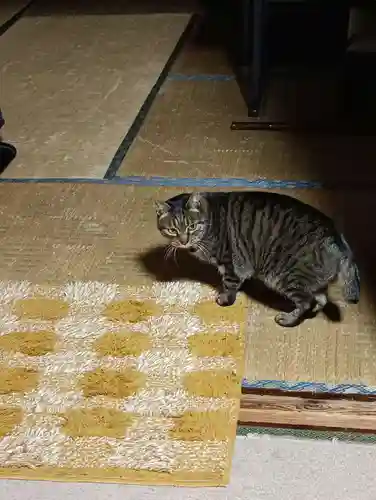 常光寺(長野県)