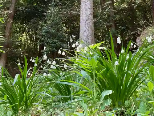 温泉神社〜いわき湯本温泉〜の自然