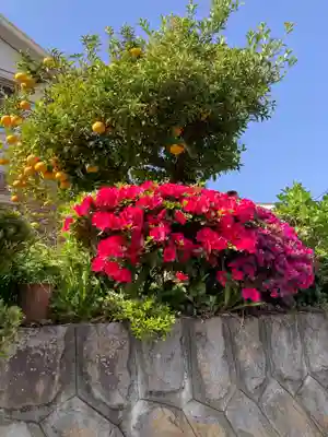 小澤寺(神奈川県)