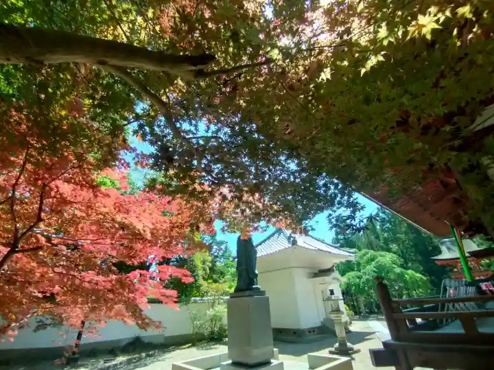 霊山寺の{uncategorized: "未分類", other: "その他", undefined: "問題あり", building: "その他建物", grave: "お墓", sacred_gate: "鳥居", guardian: "狛犬", statue: "像", buddha: "仏像", history: "歴史", nature: "自然", garden: "庭園", animal: "動物", pagoda: "塔", temizu: "手水舎", mountain_gate: "山門・神門", sanctuary: "本殿・本堂", subordinate: "末社・摂社", art: "芸術", scenery: "景色", jizo: "地蔵", ema: "絵馬", goshuin: "御朱印", omikuji: "おみくじ", items: "授与品その他", amulet: "お守り", goshuincho: "御朱印帳", eats: "食事", festival: "お祭り", votive_dance: "神楽", shichigosan: "七五三参", wedding: "結婚式", experience: "体験その他", initially: "初詣", around: "周辺", anti_infection: "感染症対策"}