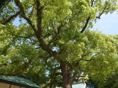 玉祖神社(山口県)