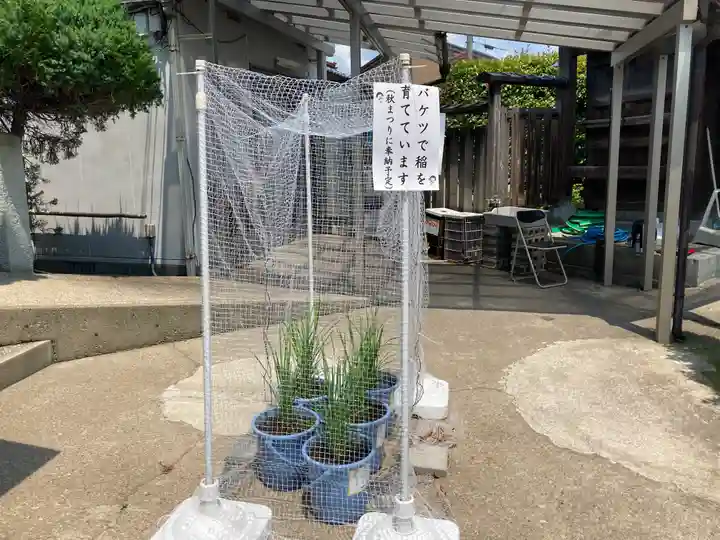 總社 和田八幡宮(福井県)