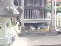 日吉神社(福井県)