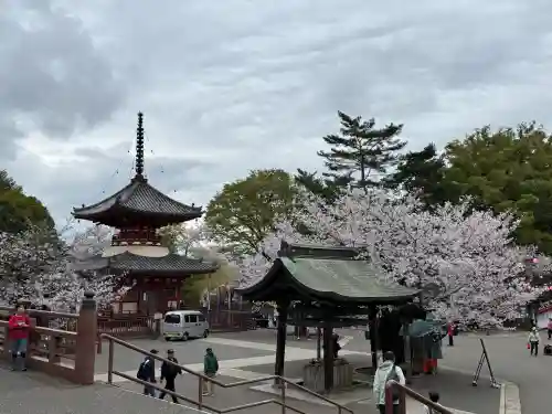 喜多院の{uncategorized: "未分類", other: "その他", undefined: "問題あり", building: "その他建物", grave: "お墓", sacred_gate: "鳥居", guardian: "狛犬", statue: "像", buddha: "仏像", history: "歴史", nature: "自然", garden: "庭園", animal: "動物", pagoda: "塔", temizu: "手水舎", mountain_gate: "山門・神門", sanctuary: "本殿・本堂", subordinate: "末社・摂社", art: "芸術", scenery: "景色", jizo: "地蔵", ema: "絵馬", goshuin: "御朱印", omikuji: "おみくじ", items: "授与品その他", amulet: "お守り", goshuincho: "御朱印帳", eats: "食事", festival: "お祭り", votive_dance: "神楽", shichigosan: "七五三参", wedding: "結婚式", experience: "体験その他", initially: "初詣", around: "周辺", anti_infection: "感染症対策"}