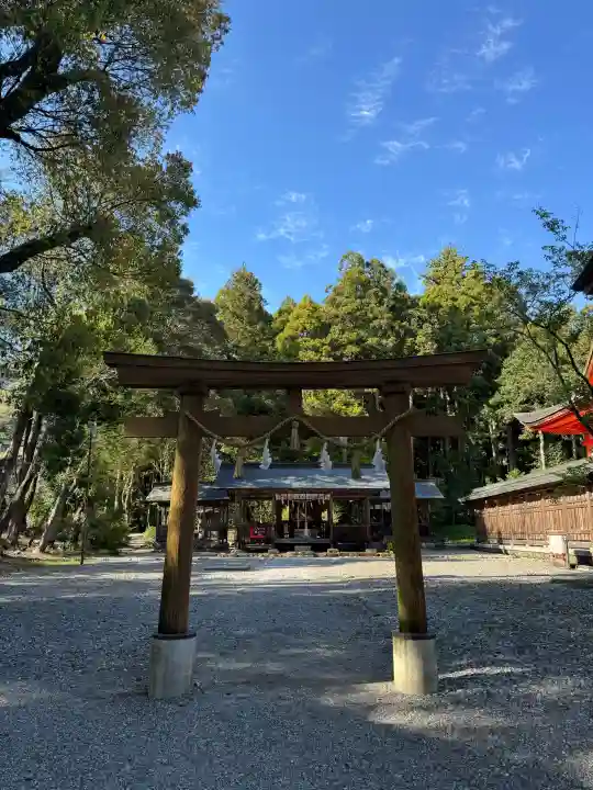 土佐神社の{uncategorized: "未分類", other: "その他", undefined: "問題あり", building: "その他建物", grave: "お墓", sacred_gate: "鳥居", guardian: "狛犬", statue: "像", buddha: "仏像", history: "歴史", nature: "自然", garden: "庭園", animal: "動物", pagoda: "塔", temizu: "手水舎", mountain_gate: "山門・神門", sanctuary: "本殿・本堂", subordinate: "末社・摂社", art: "芸術", scenery: "景色", jizo: "地蔵", ema: "絵馬", goshuin: "御朱印", omikuji: "おみくじ", items: "授与品その他", amulet: "お守り", goshuincho: "御朱印帳", eats: "食事", festival: "お祭り", votive_dance: "神楽", shichigosan: "七五三参", wedding: "結婚式", experience: "体験その他", initially: "初詣", around: "周辺", anti_infection: "感染症対策"}