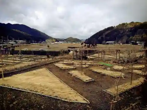 谷性寺の建物その他