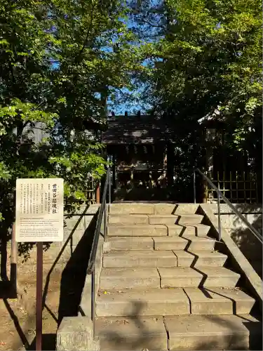 世田谷八幡宮(東京都)