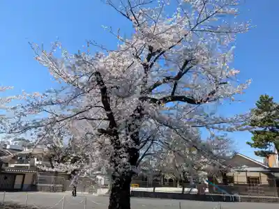 寛永寺(根本中堂)(東京都)