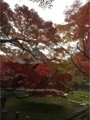 長壽寺（長寿寺）の自然