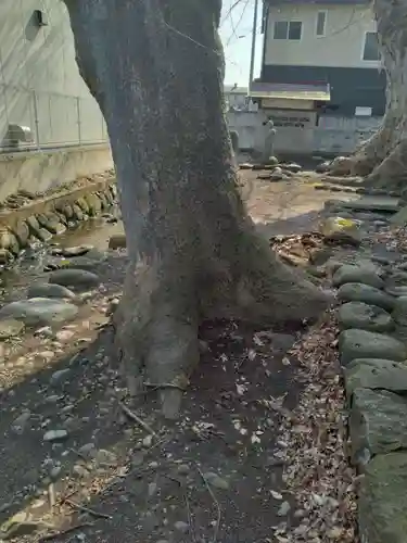 神明神社（錦町）(山形県)