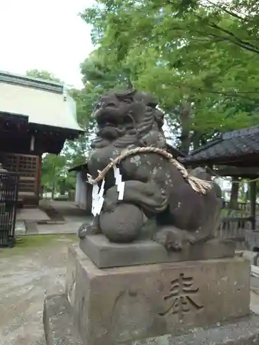 三ツ和氷川神社の狛犬