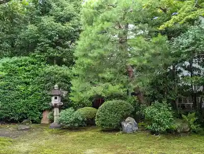 本法寺の庭園