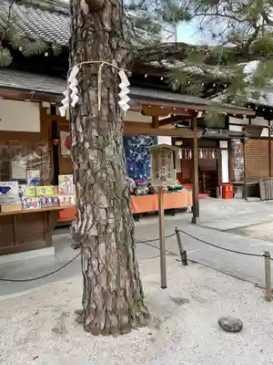 白峯神宮(京都府)