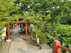 鶴岡八幡宮の鳥居