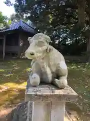 八日市普活廼神社(福井県)