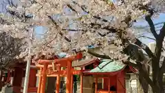 網屋天満宮の鳥居