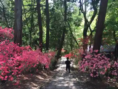 唐澤山神社の周辺