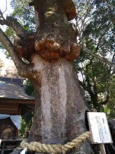 中村八幡宮(栃木県)
