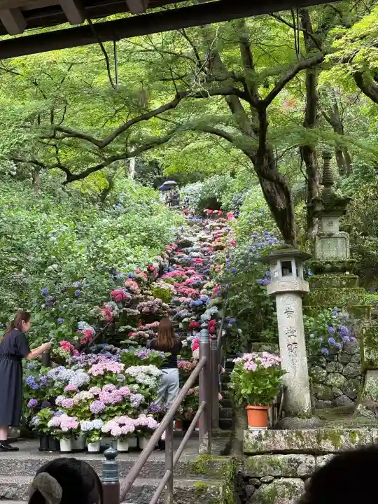 長谷寺(奈良県)