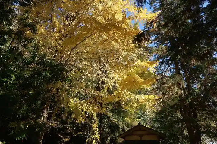 修禅寺 奥の院(静岡県)