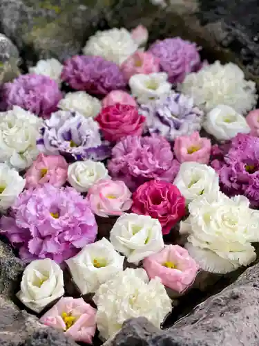 伊達神社の手水舎